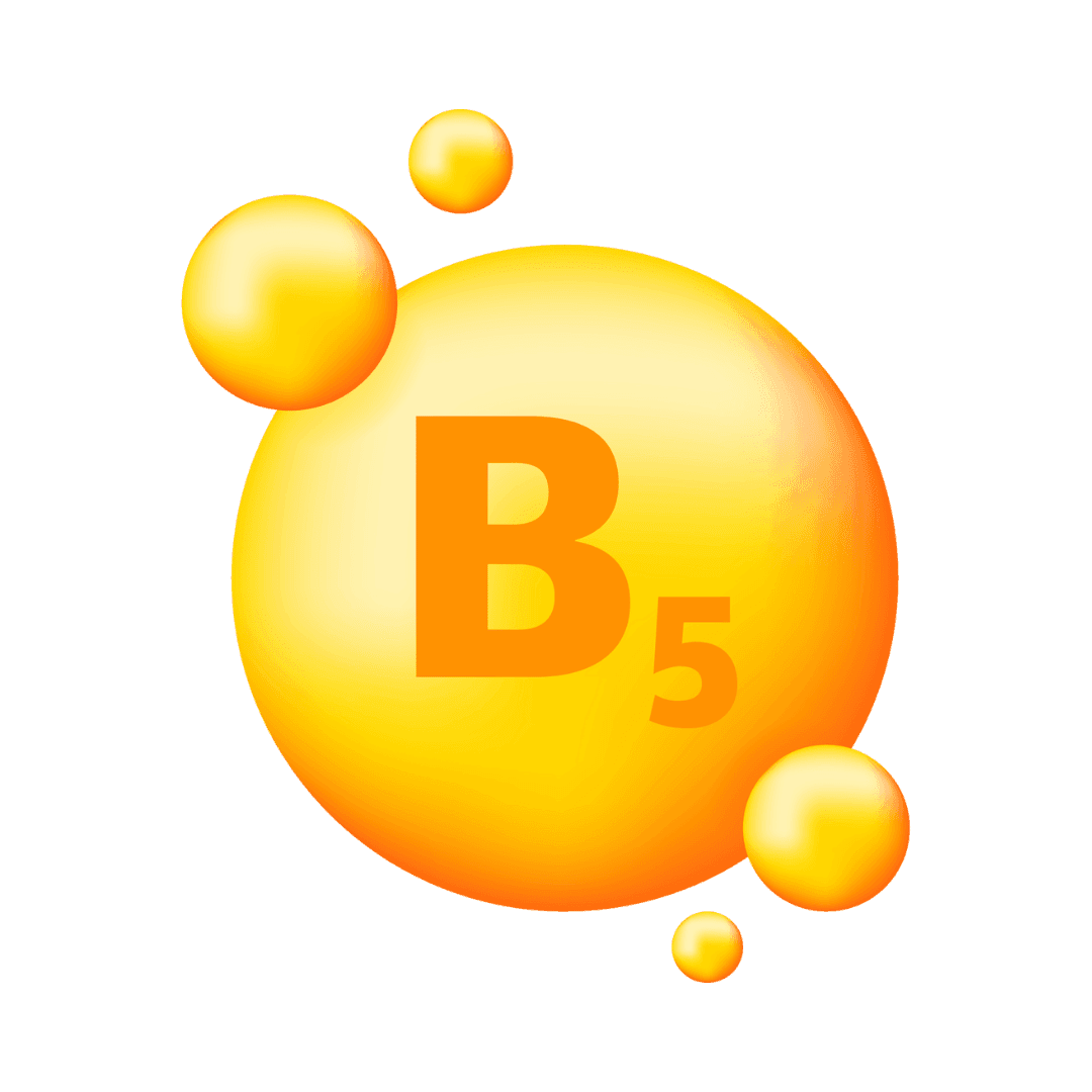 Витамин B5 (пантотеновая кислота)