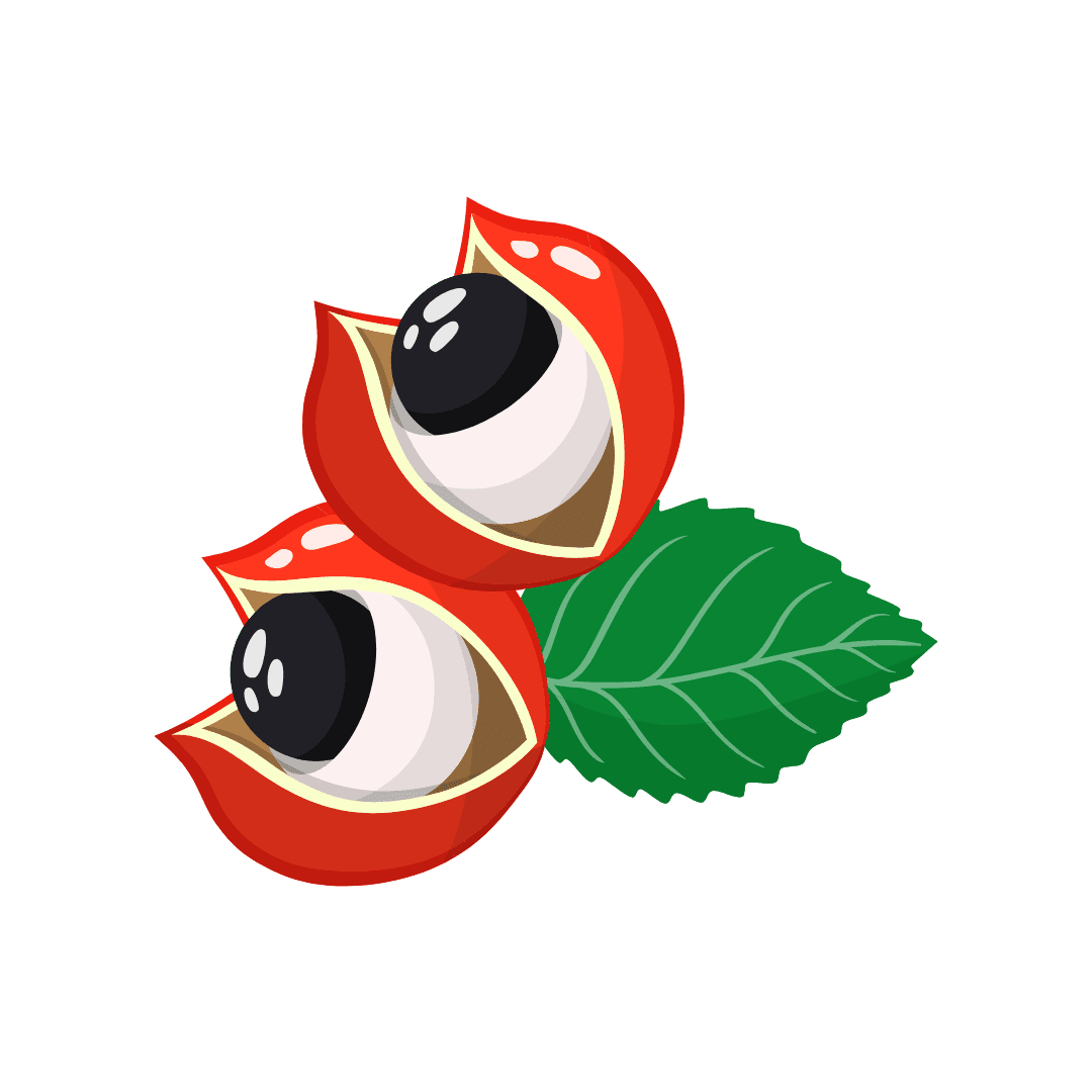 Гуарана