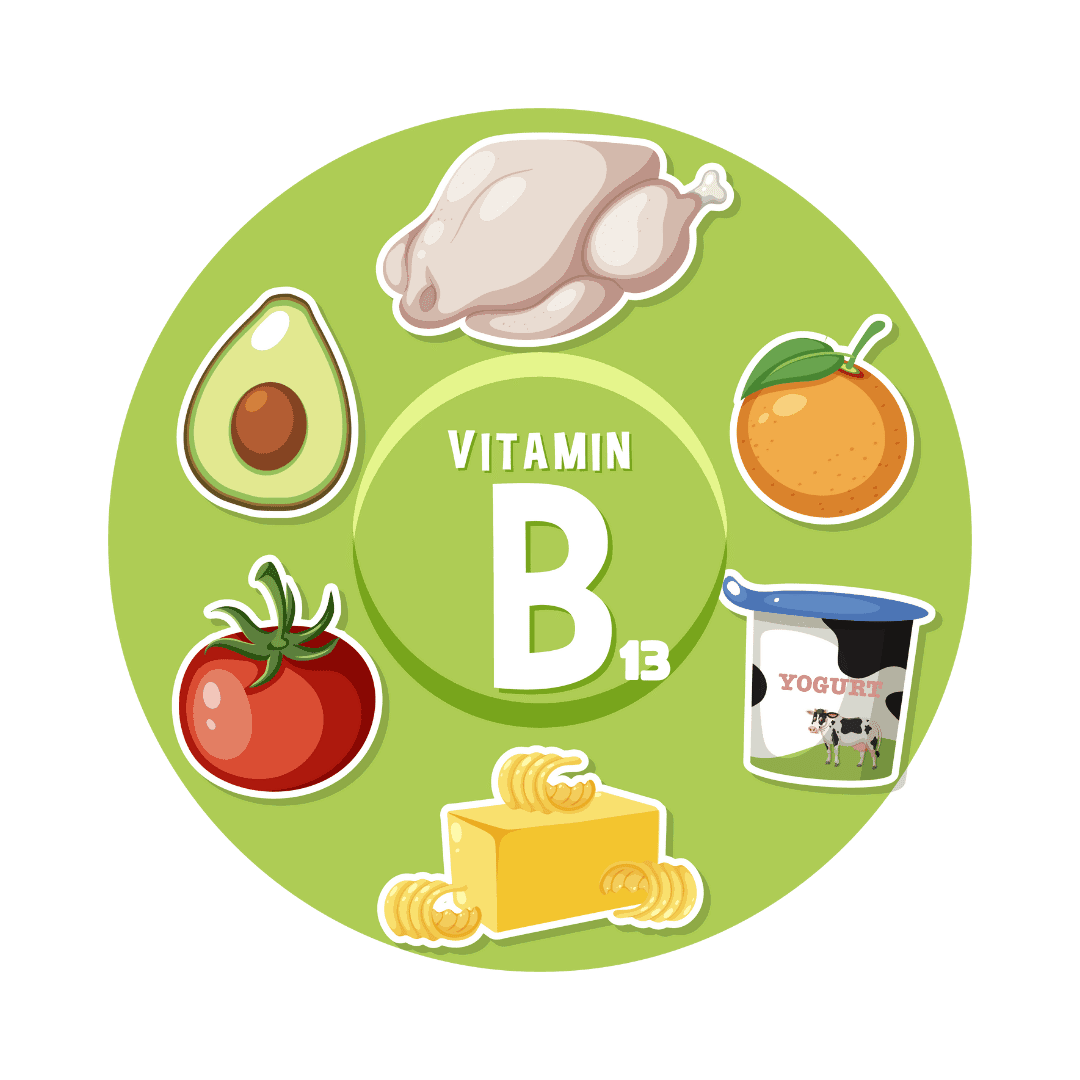 Orotic acid (B13)