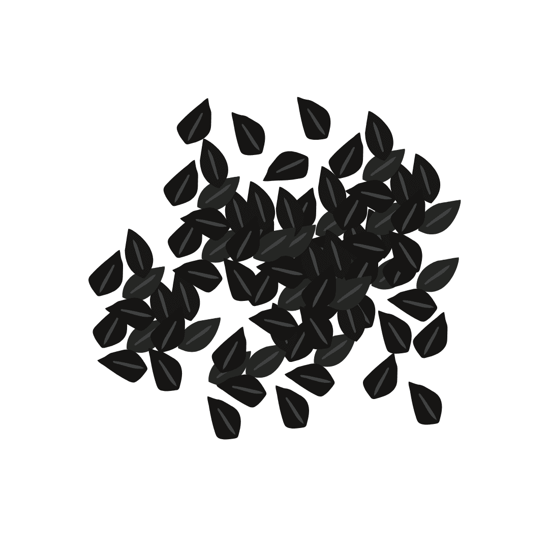 Black cumin
