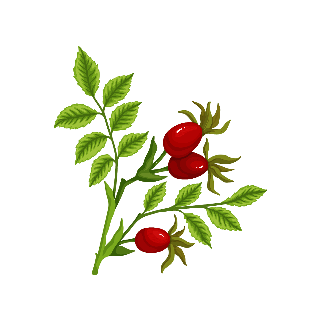 Chipberry